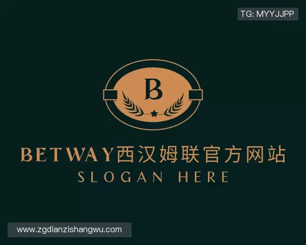解读betway西汉姆联官方网站